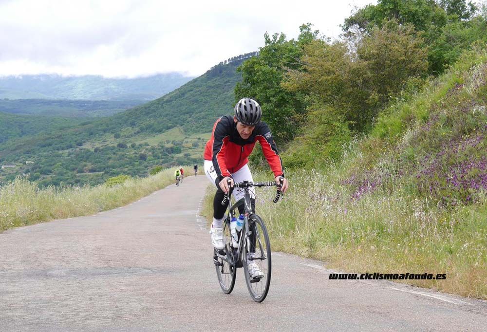 Bedelalsa 2016_3