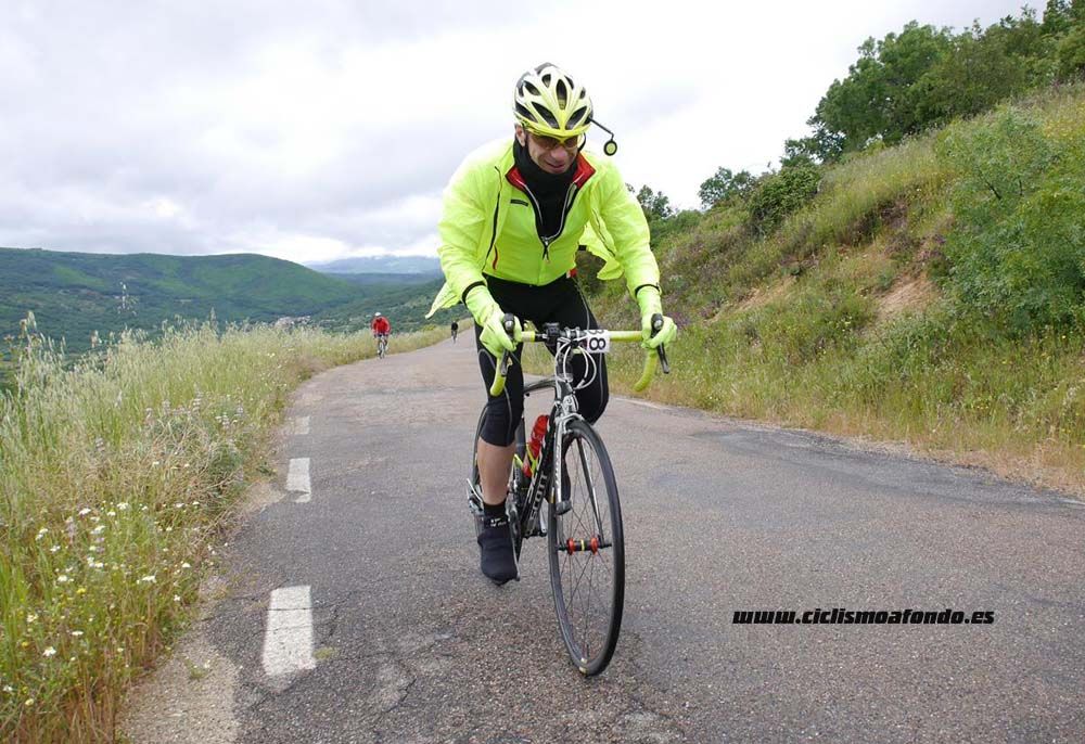 Bedelalsa 2016_3