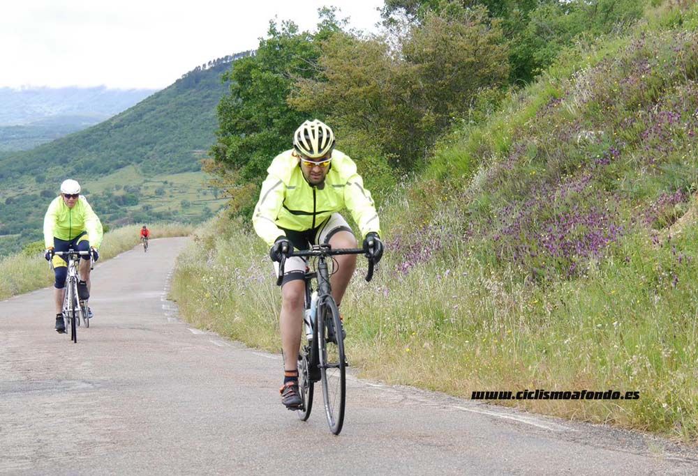 Bedelalsa 2016_3