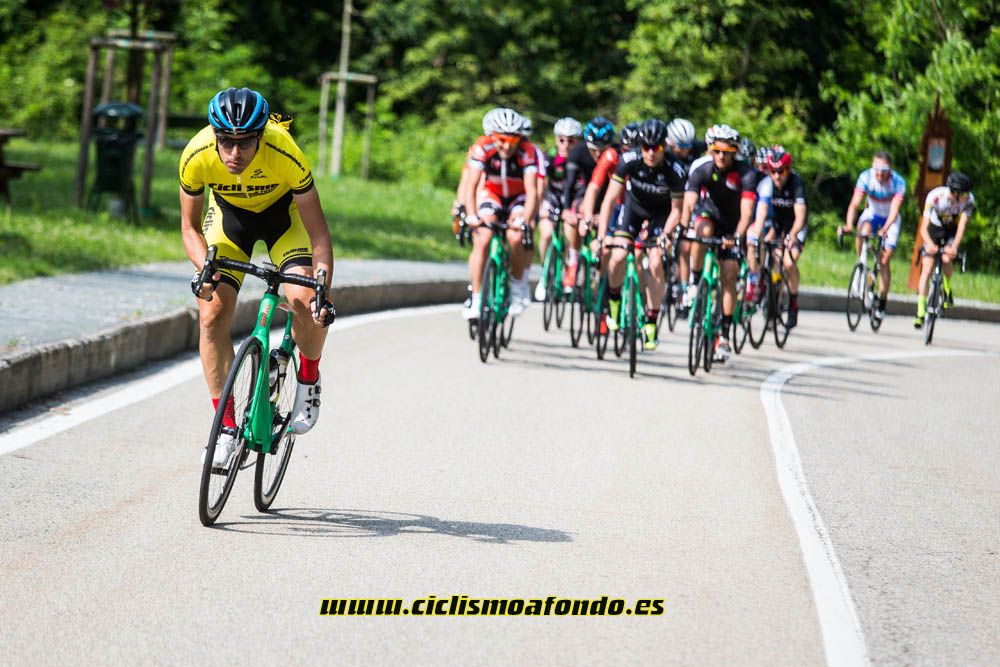 Nueva BMC Roadmachine