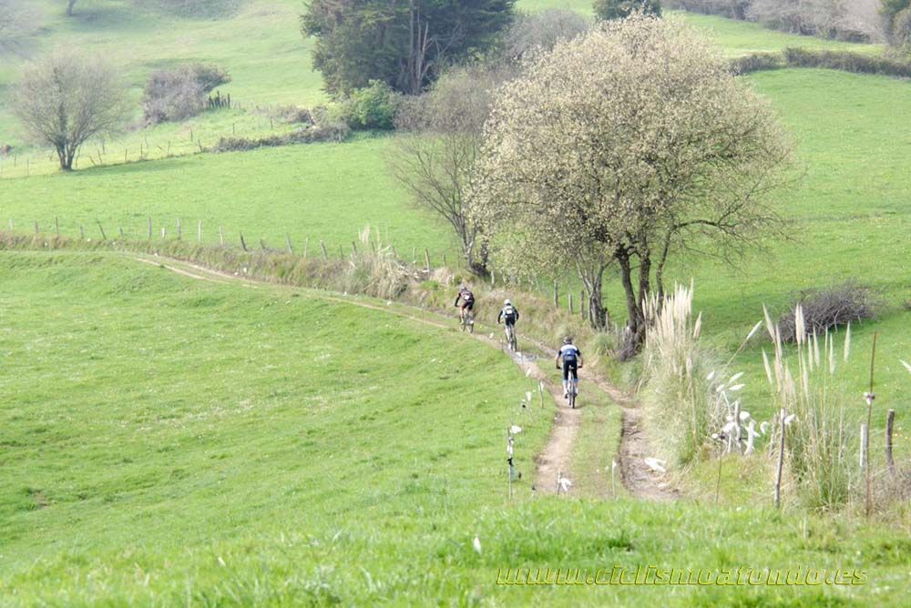 Marcha Freire Mountainbike