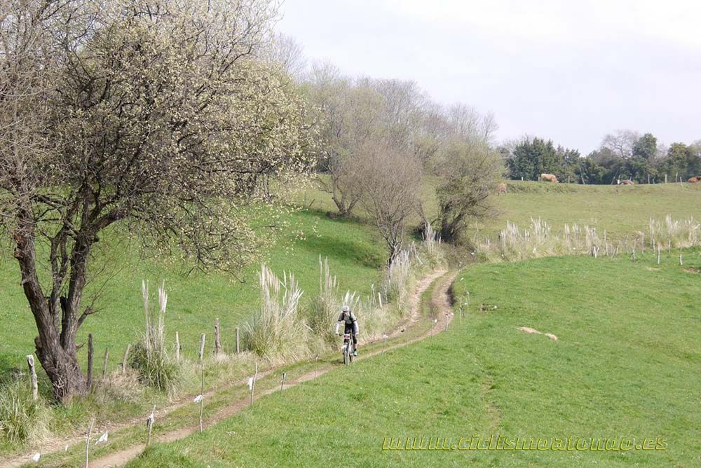 Marcha Freire Mountainbike