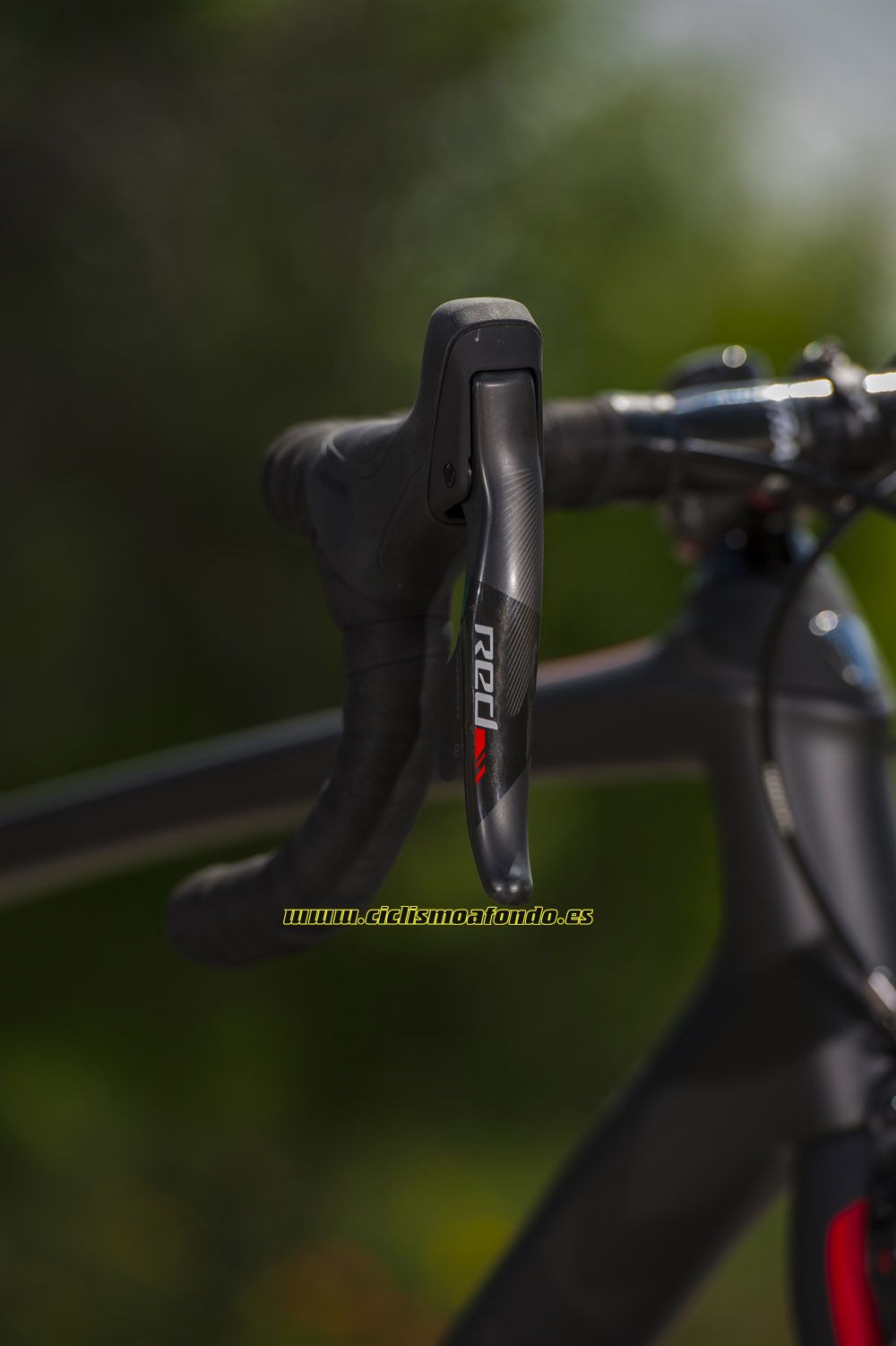 Prueba: Trek Domane SLR