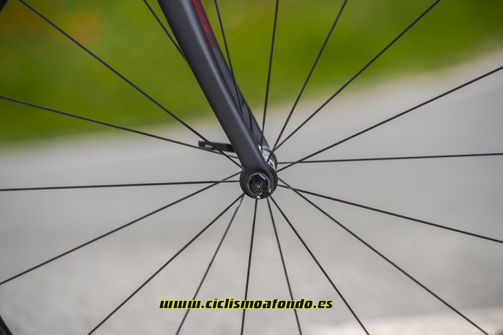 Prueba: Trek Domane SLR