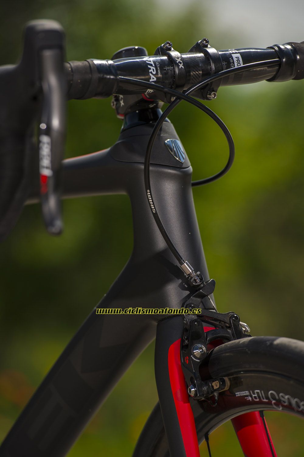 Prueba: Trek Domane SLR
