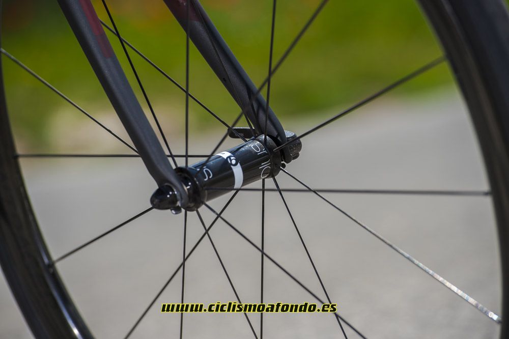 Prueba: Trek Domane SLR