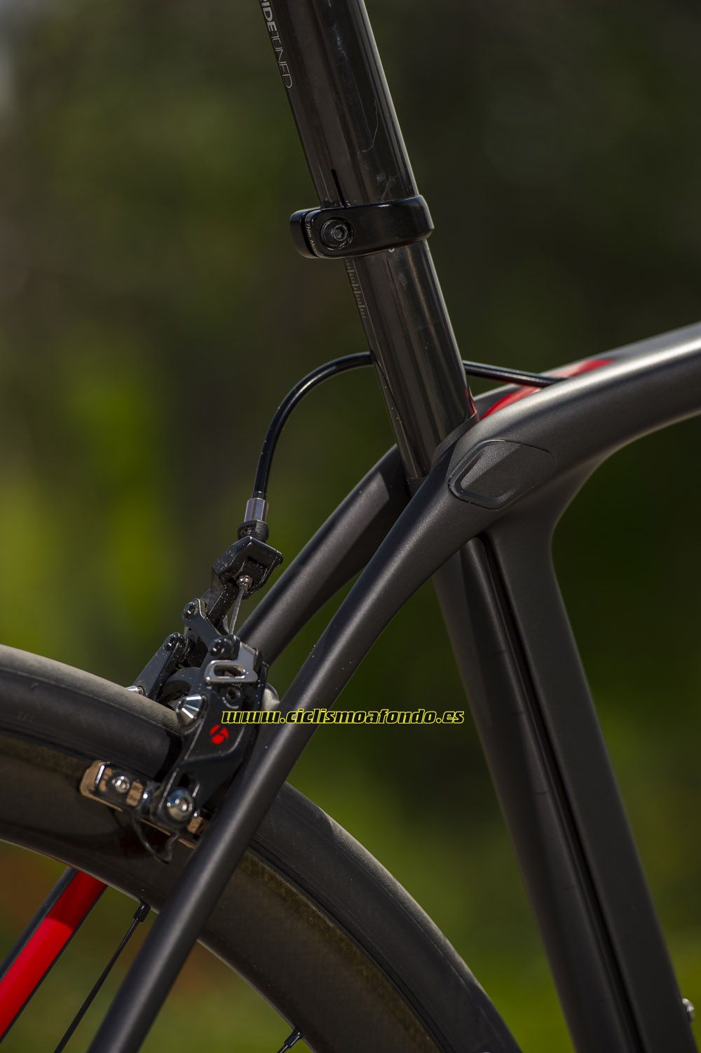 Prueba: Trek Domane SLR
