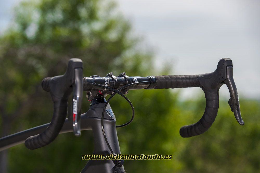 Prueba: Trek Domane SLR