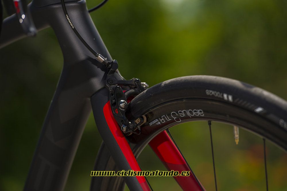 Prueba: Trek Domane SLR