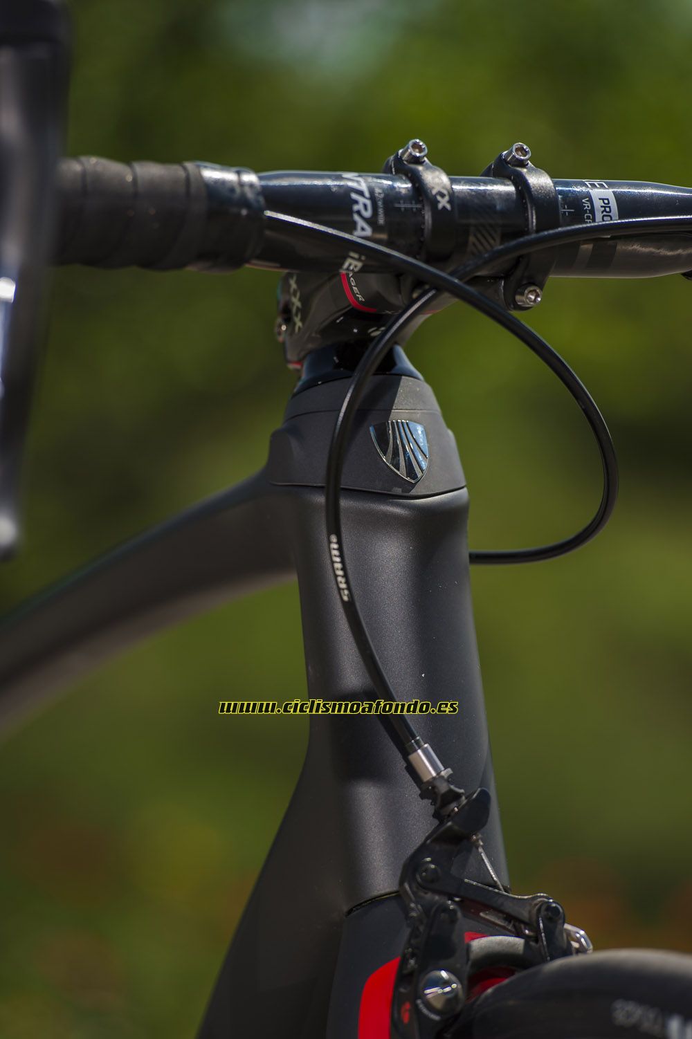 Prueba: Trek Domane SLR