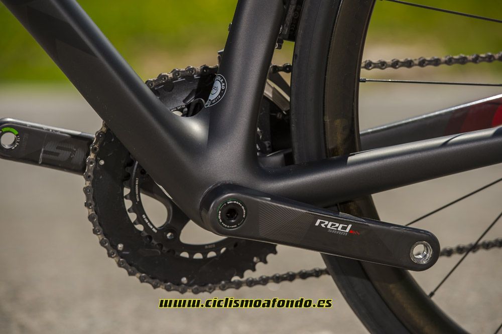 Prueba: Trek Domane SLR