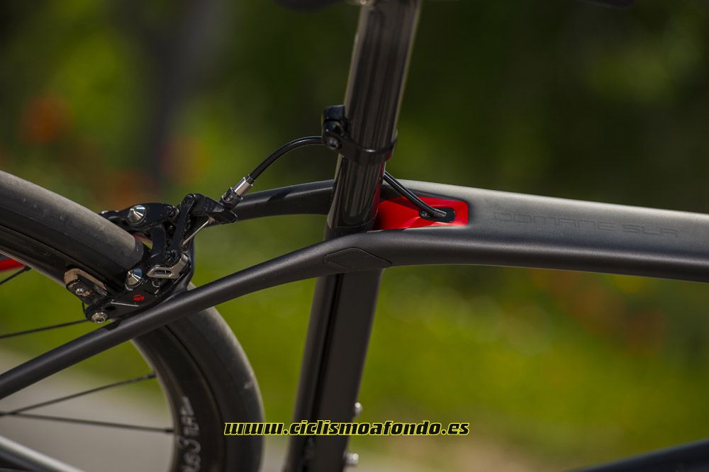 Prueba: Trek Domane SLR