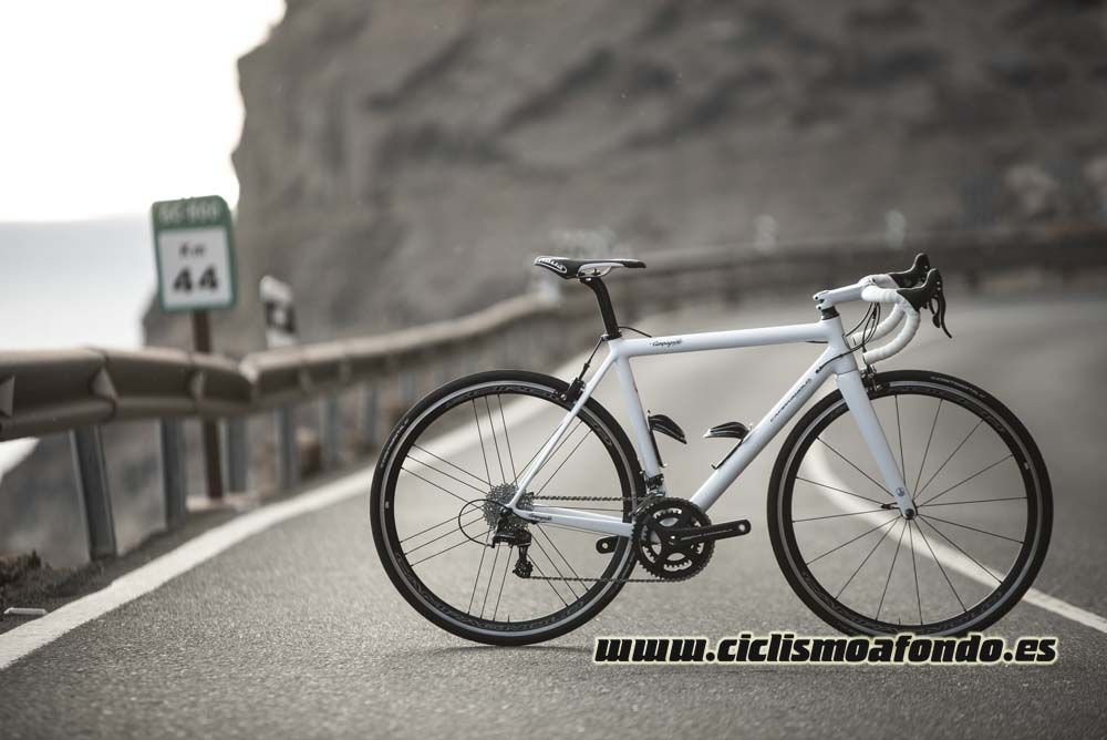 Campagnolo frenos de disco
