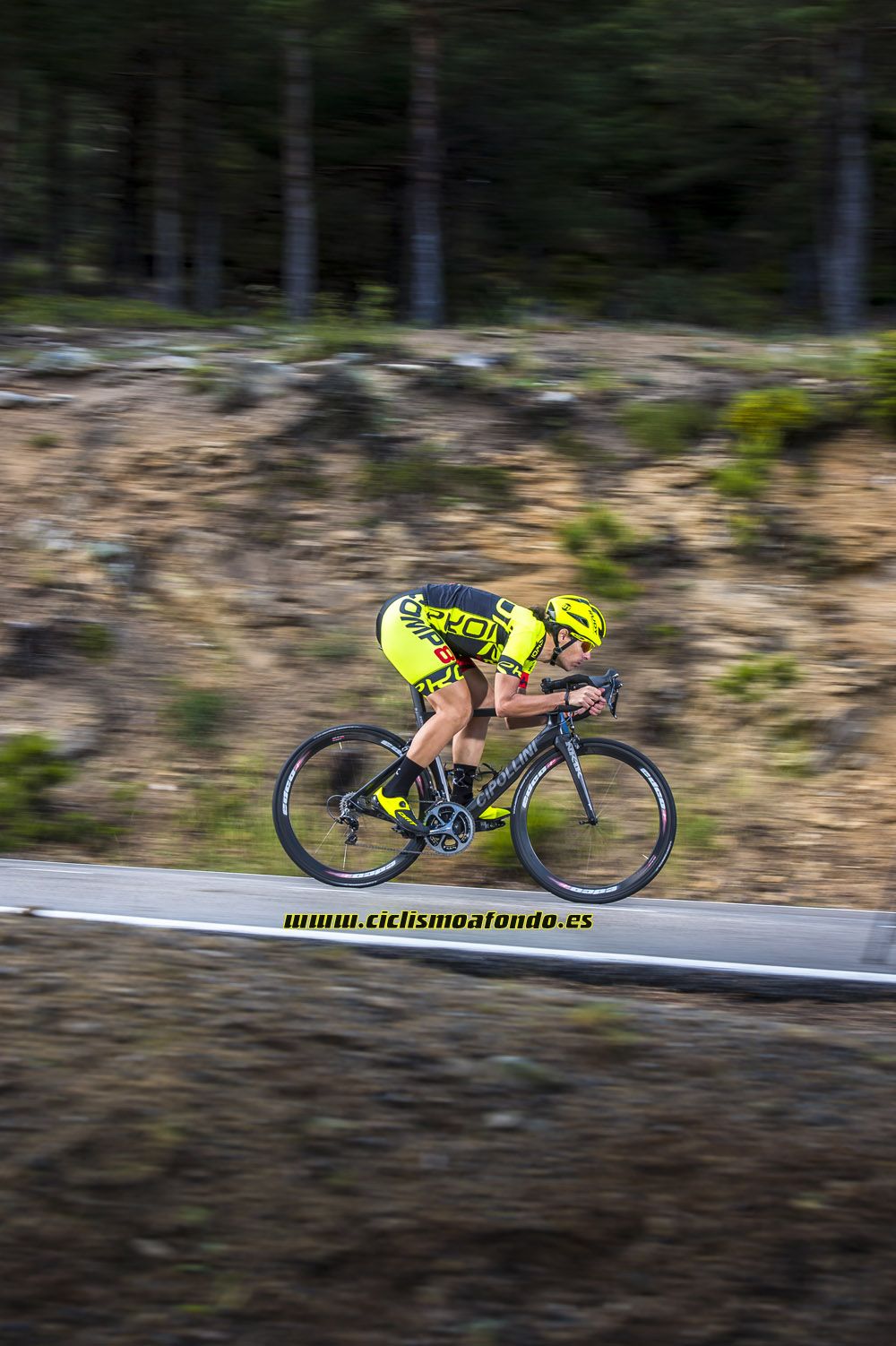 Prueba: Cipollini NK1K