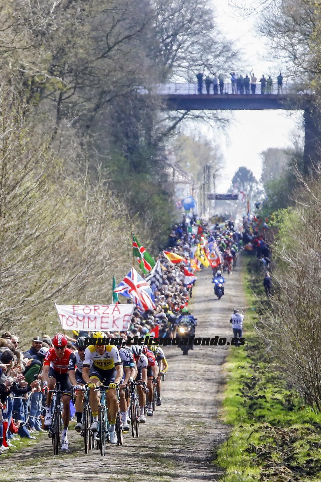 Paris Roubaix 2016