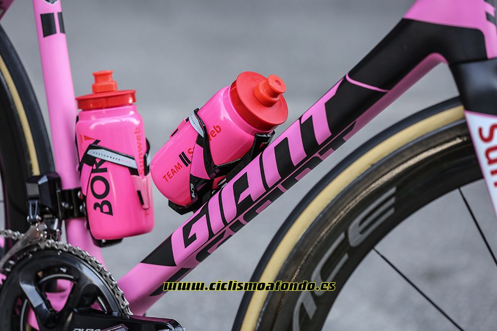 Giant premia a Dumoulin con una edición especial de la TCR