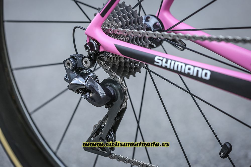 Giant premia a Dumoulin con una edición especial de la TCR