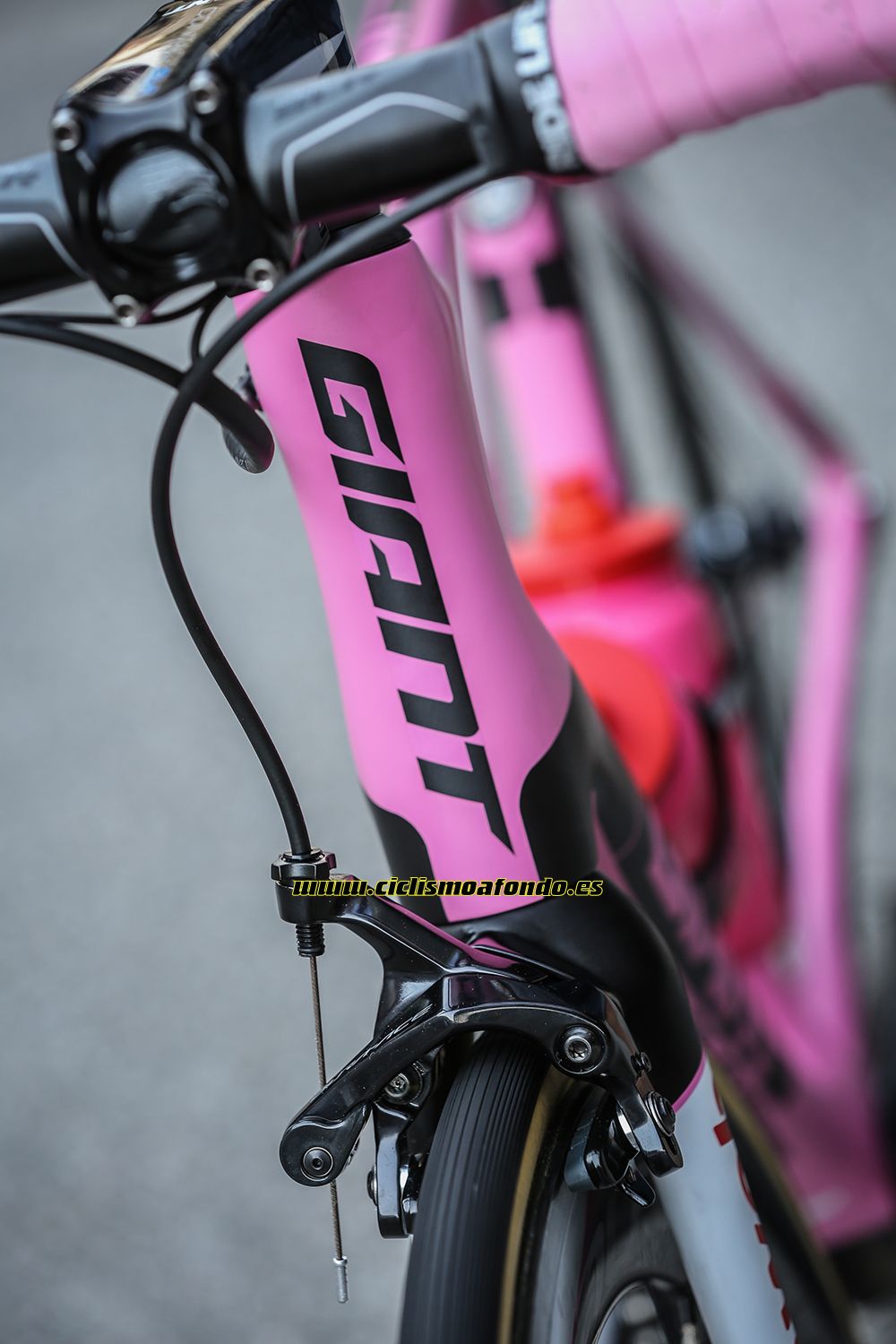 Giant premia a Dumoulin con una edición especial de la TCR
