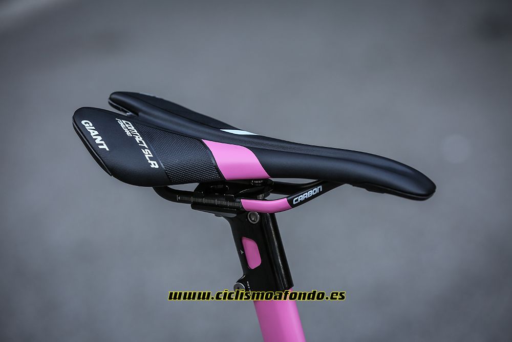 Giant premia a Dumoulin con una edición especial de la TCR