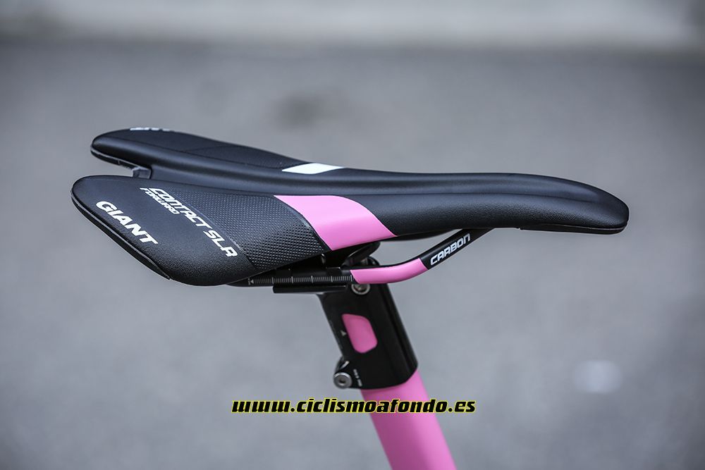 Giant premia a Dumoulin con una edición especial de la TCR