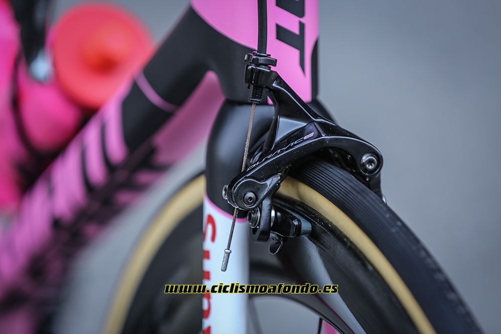Giant premia a Dumoulin con una edición especial de la TCR