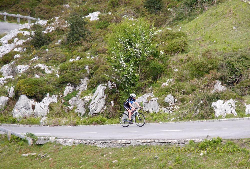 Lagos de Covadonga 2017_3