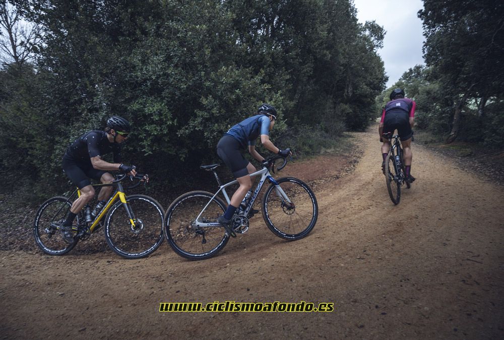 Nueva Orbea Terra