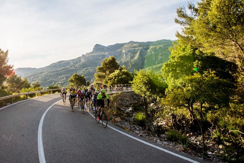 Mallorca 312-2017