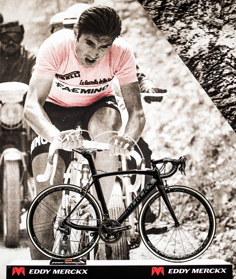 Eddy Merckx Italia50
