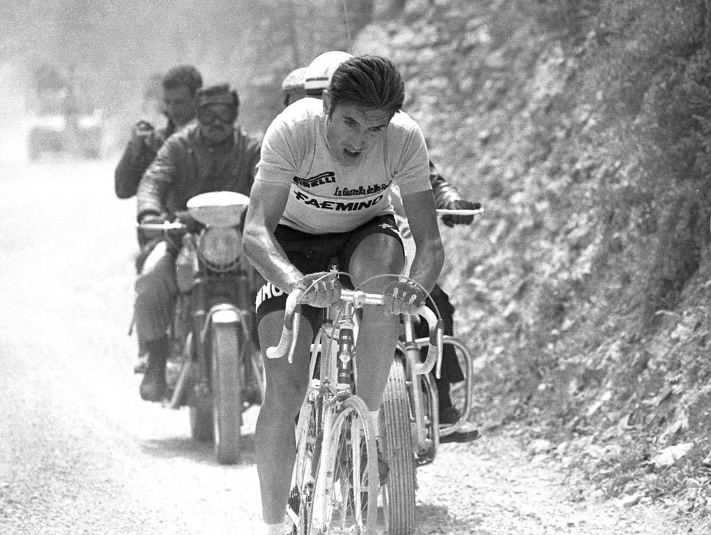 Eddy Merckx Italia50