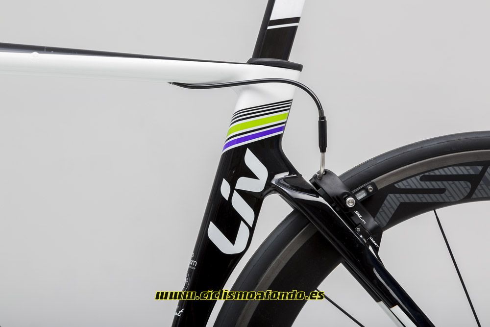 Prueba: Liv Envie Advanced Pro