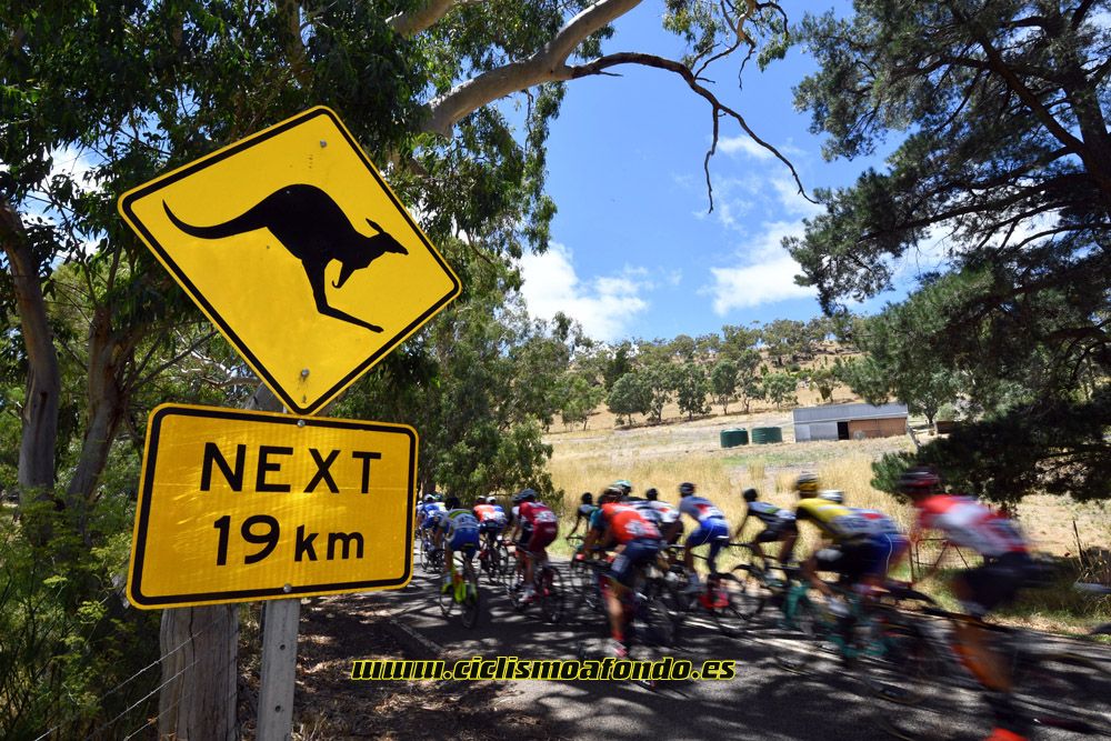Tour Down Under 2017 / 4º etapa / Norwood - Campbelltown