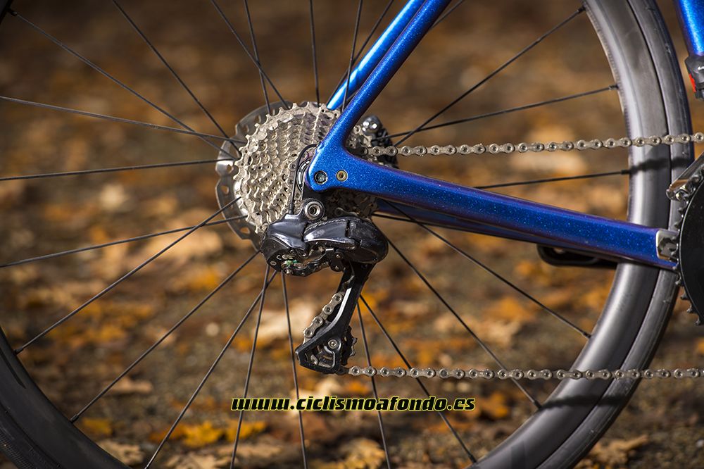 Prueba: Specialized Roubaix Pro