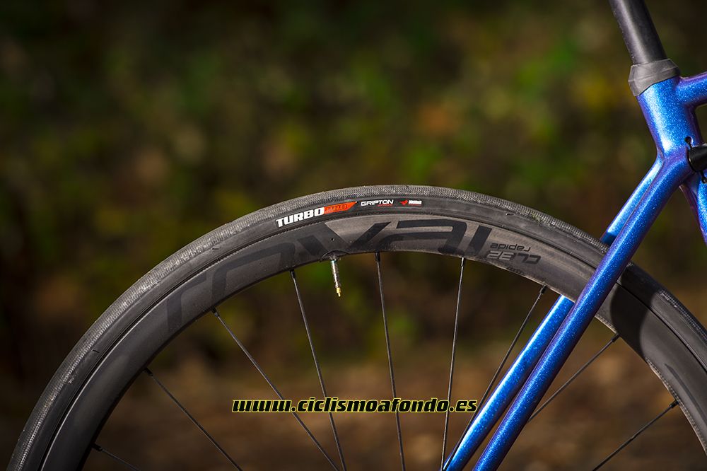 Prueba: Specialized Roubaix Pro