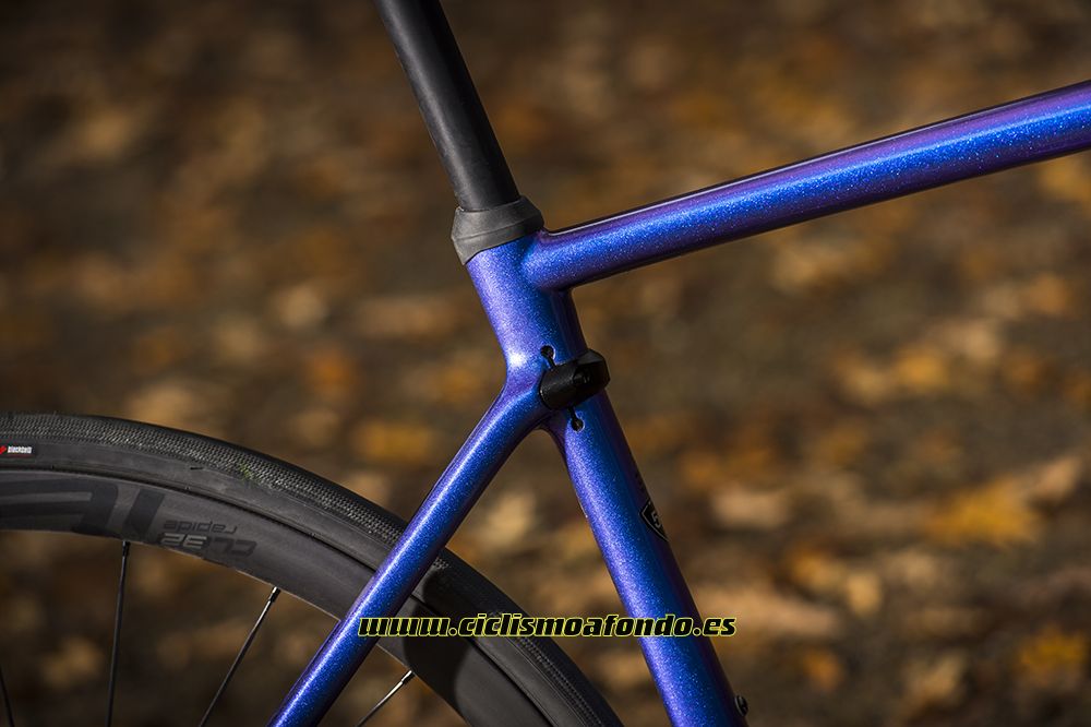 Prueba: Specialized Roubaix Pro