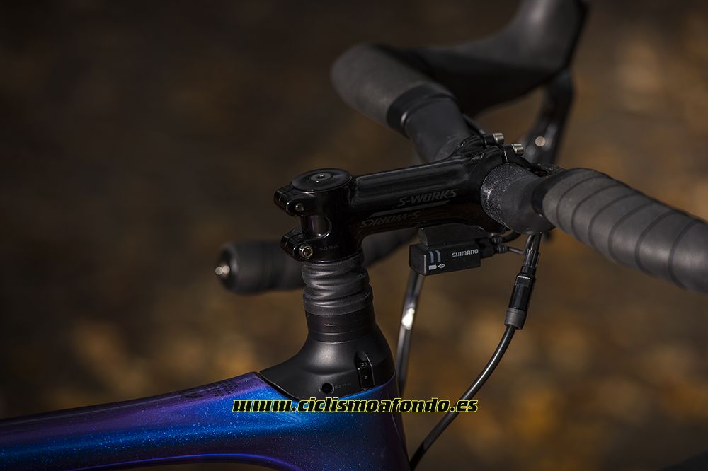 Prueba: Specialized Roubaix Pro