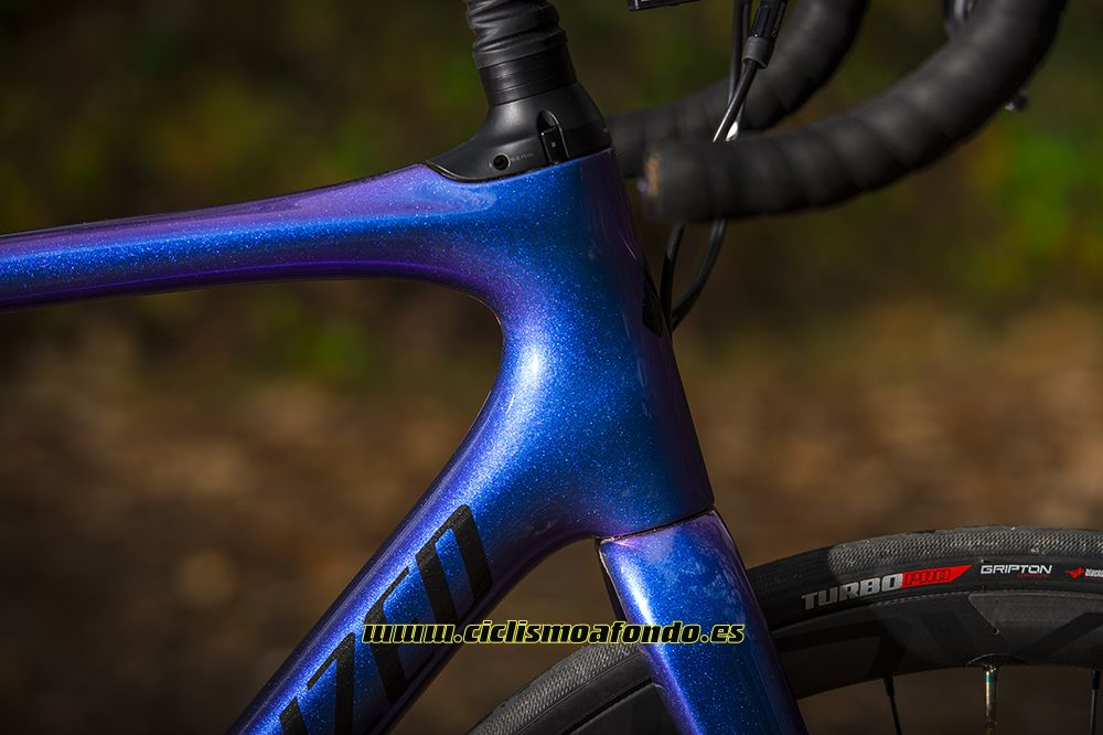 Prueba: Specialized Roubaix Pro