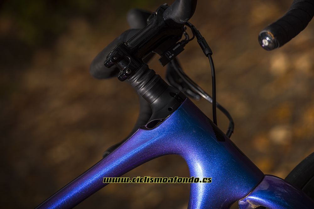 Prueba: Specialized Roubaix Pro