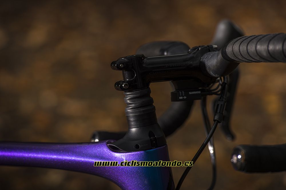 Prueba: Specialized Roubaix Pro