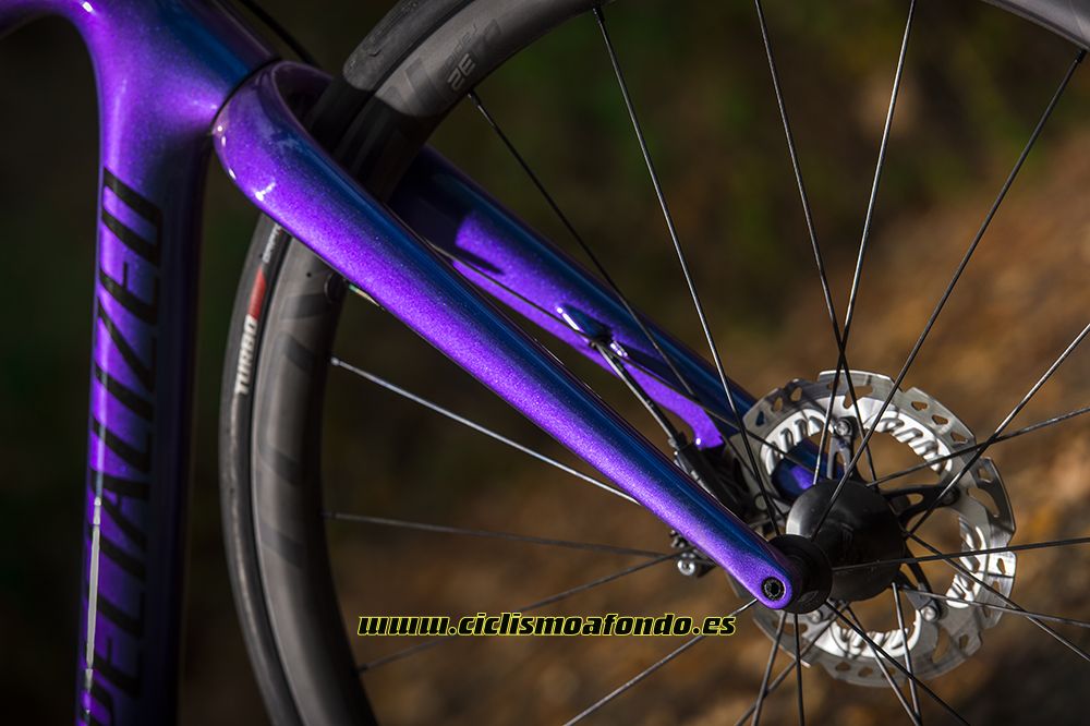 Prueba: Specialized Roubaix Pro