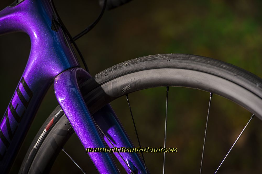 Prueba: Specialized Roubaix Pro