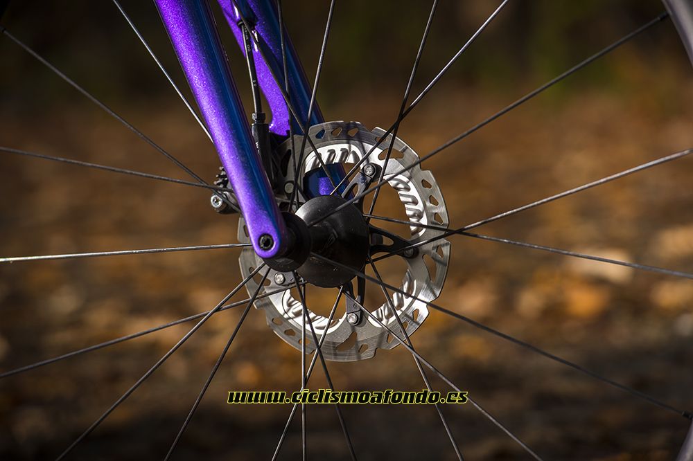 Prueba: Specialized Roubaix Pro