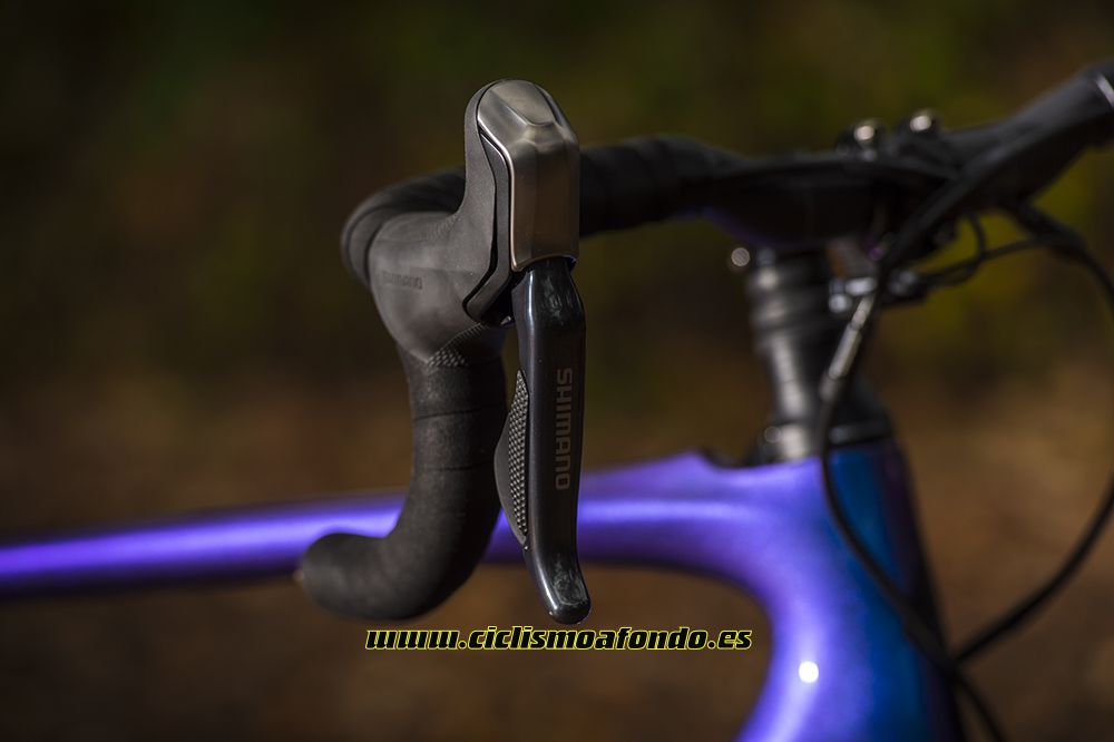Prueba: Specialized Roubaix Pro