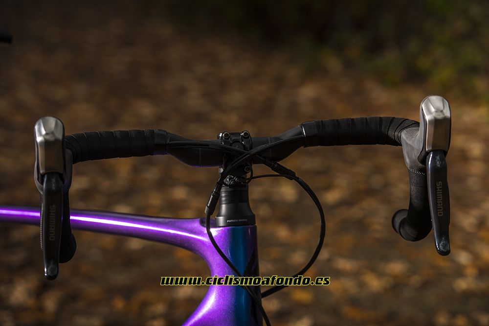 Prueba: Specialized Roubaix Pro