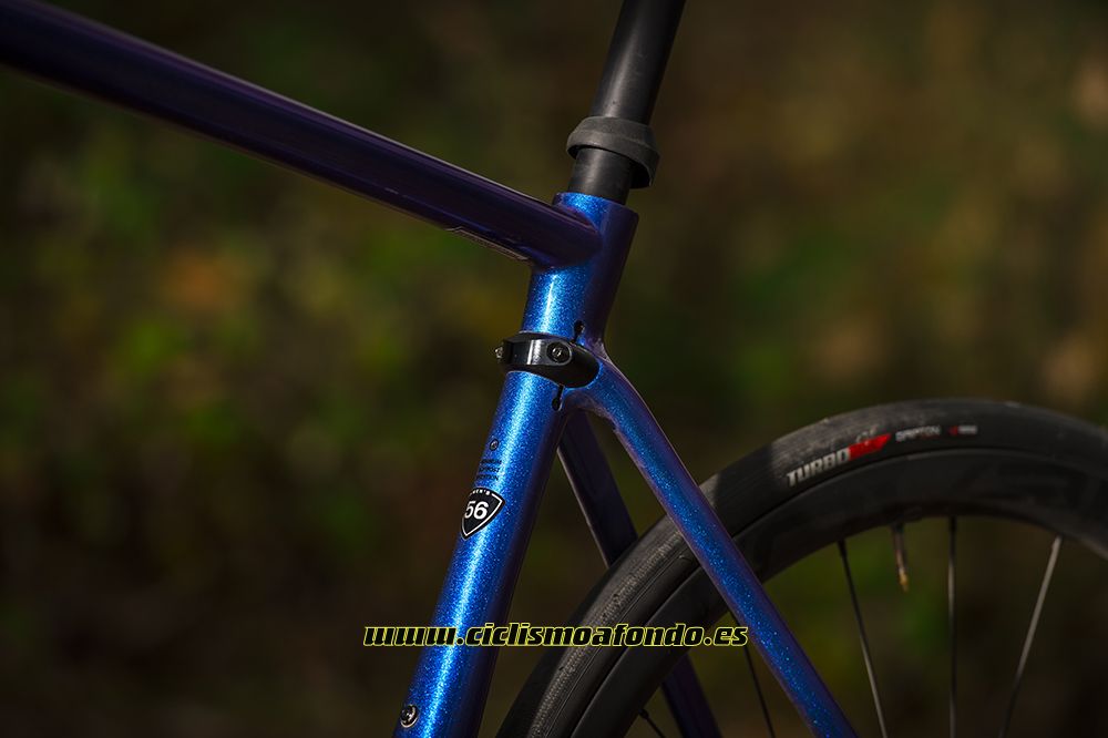 Prueba: Specialized Roubaix Pro