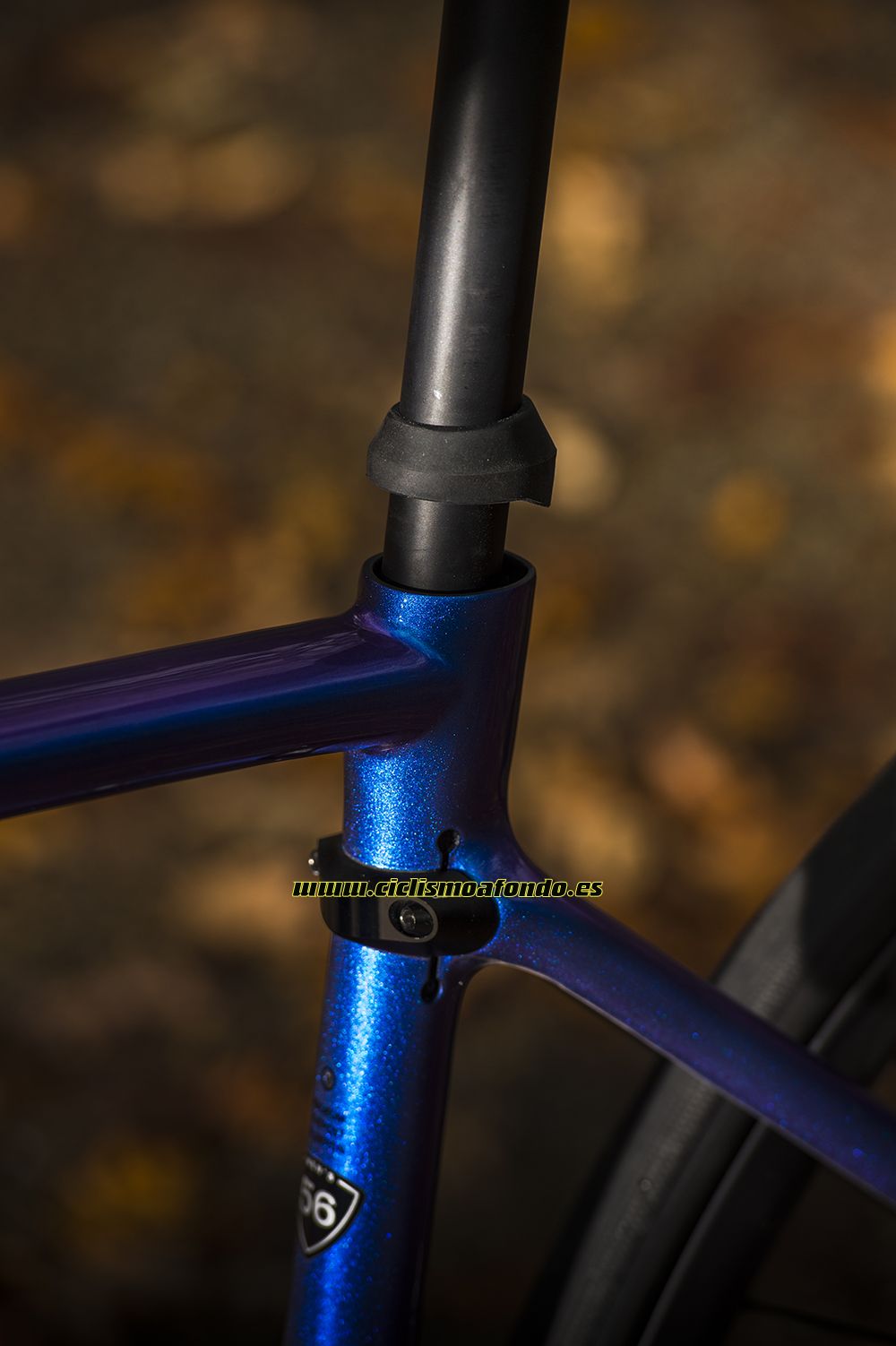 Prueba: Specialized Roubaix Pro