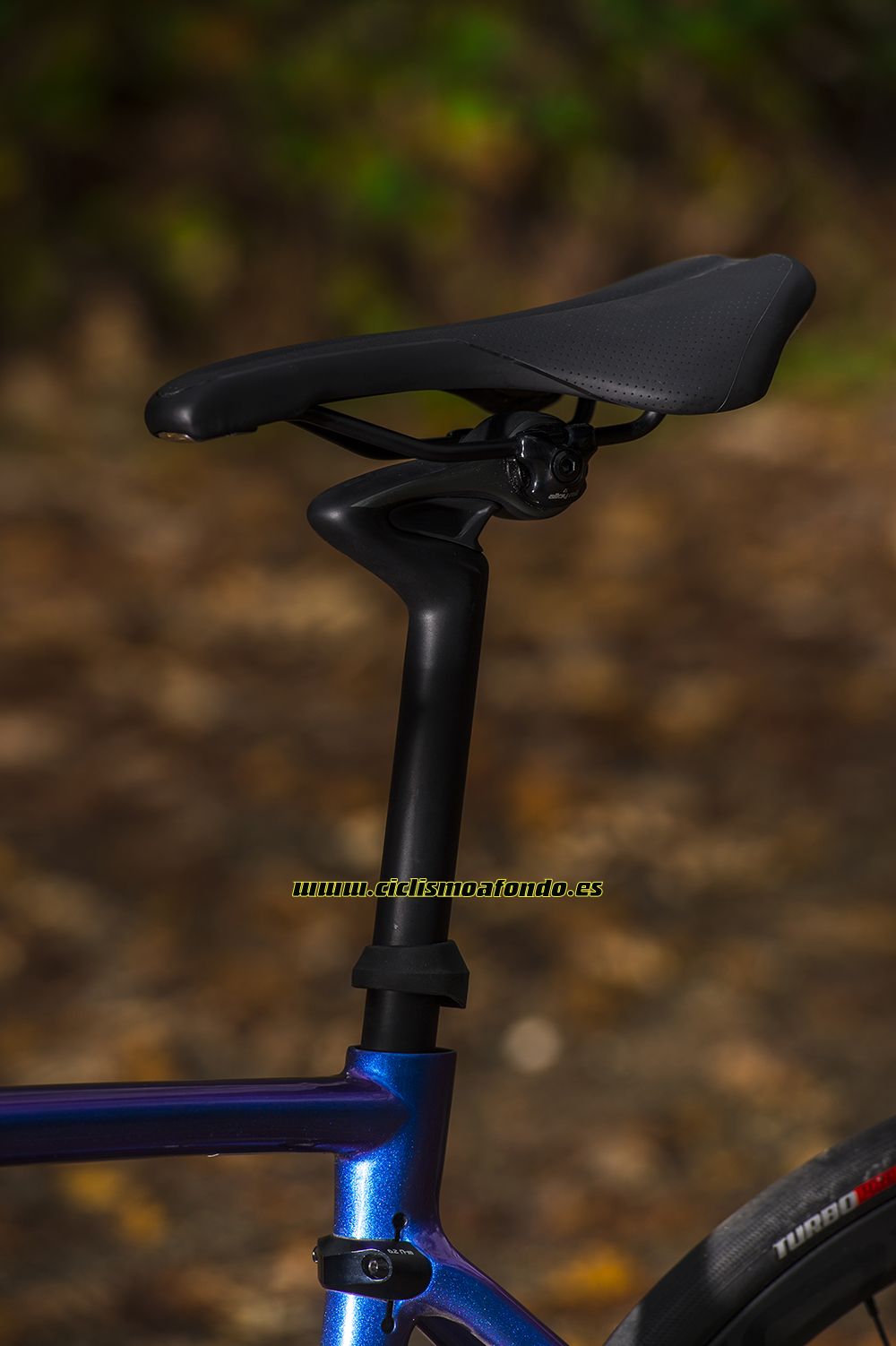 Prueba: Specialized Roubaix Pro