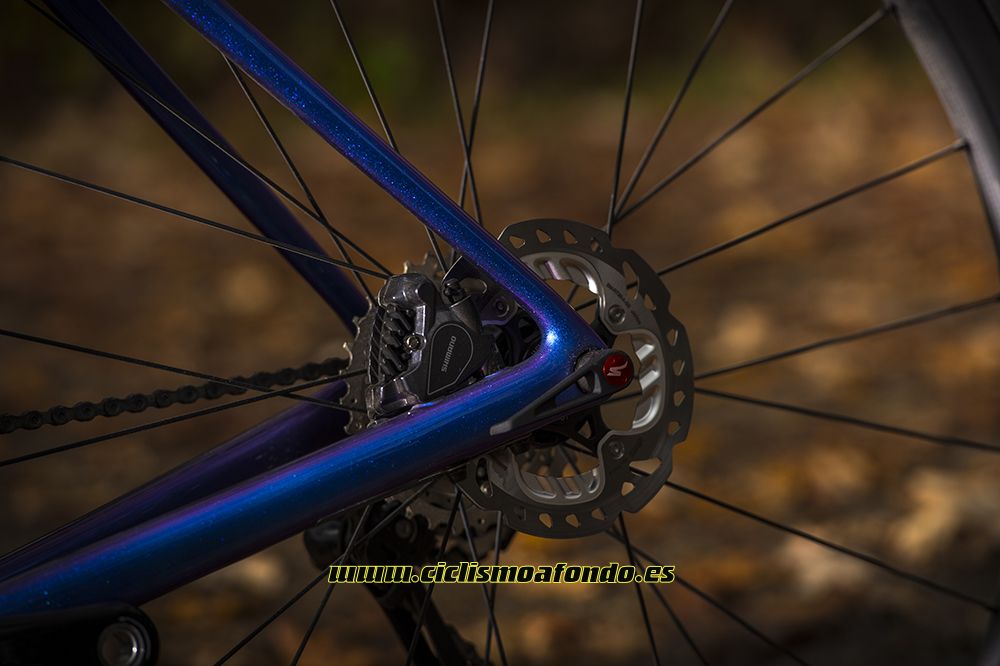 Prueba: Specialized Roubaix Pro