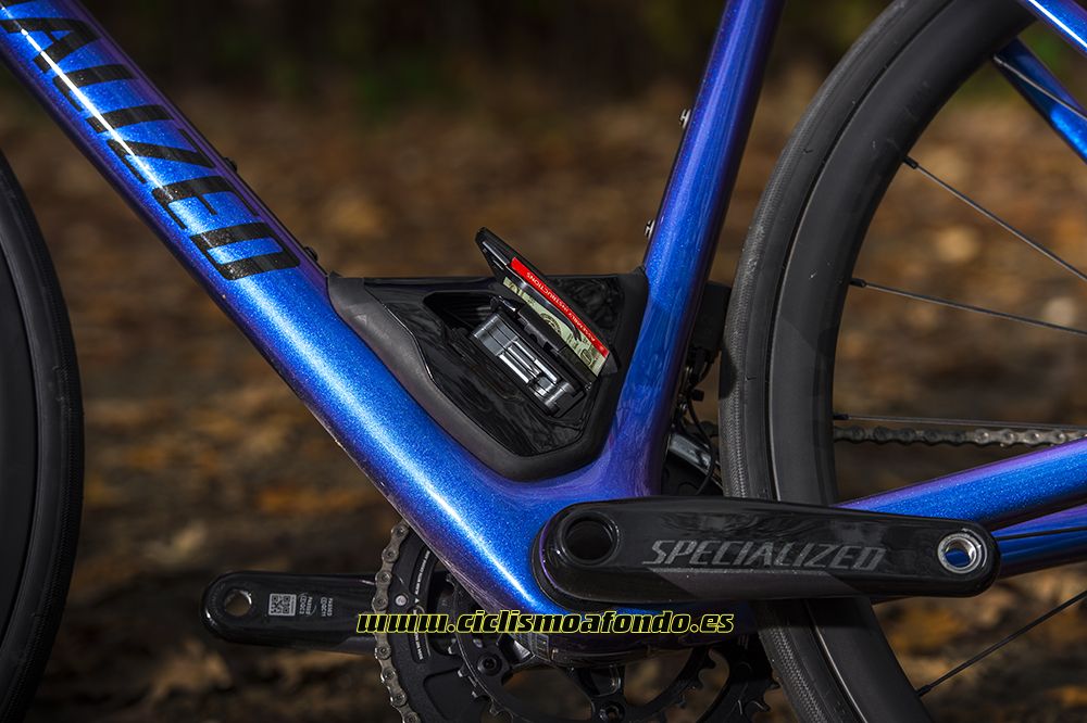Prueba: Specialized Roubaix Pro