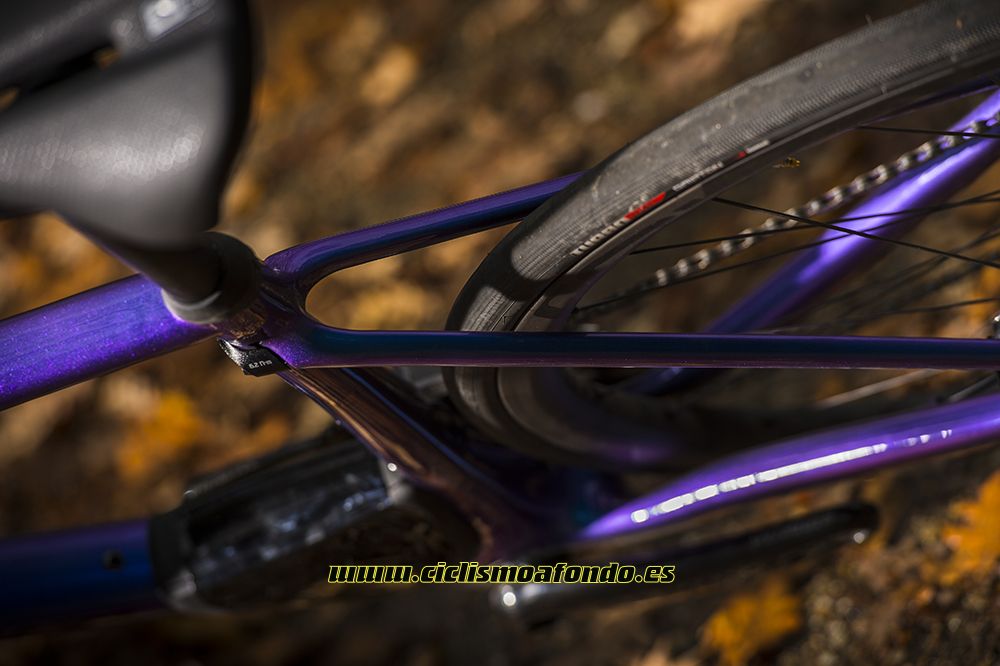 Prueba: Specialized Roubaix Pro